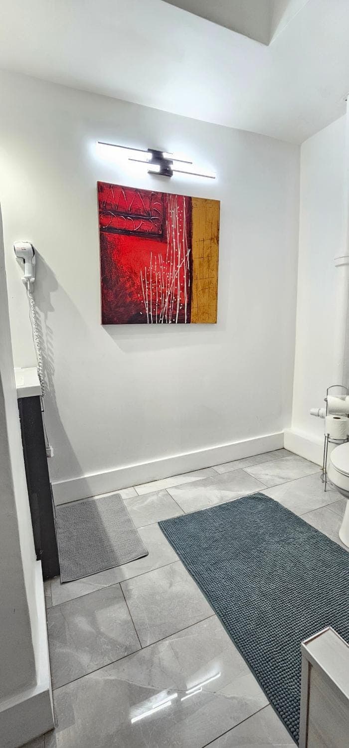 Toilet, Bathroom, hair dryier