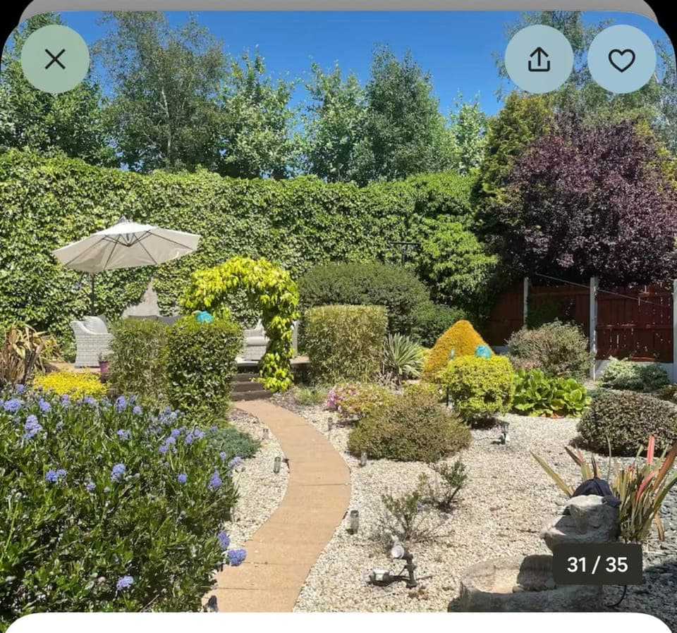 Garden view