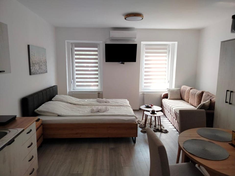 Bed, TV and multimedia, Living room, Photo of the whole room, Bedroom, air conditioner