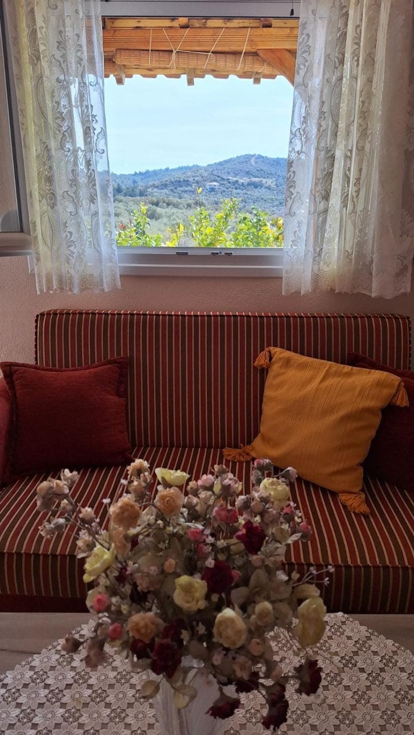 Living room, Seating area, Mountain view