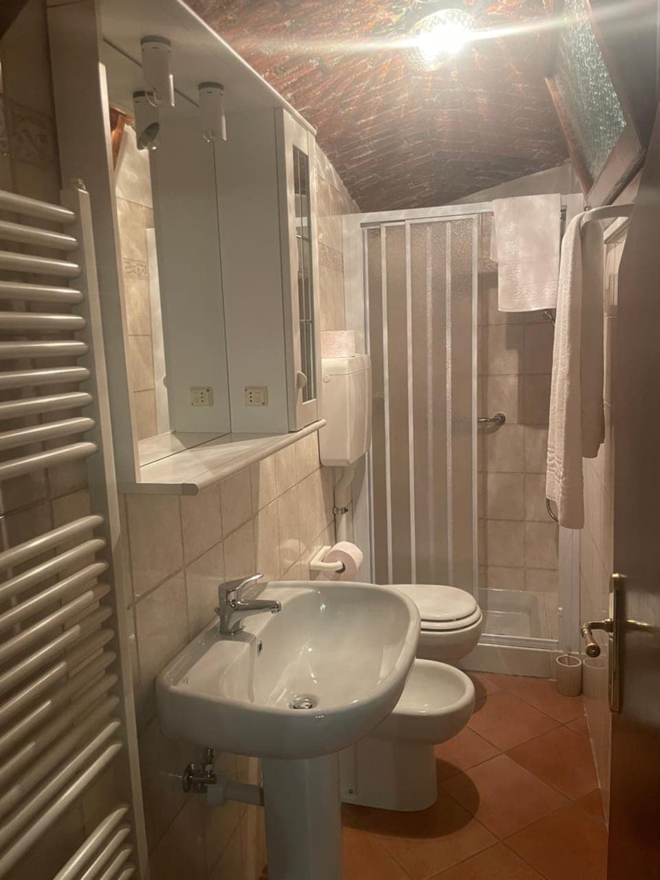 Shower, Toilet, Bathroom, towels