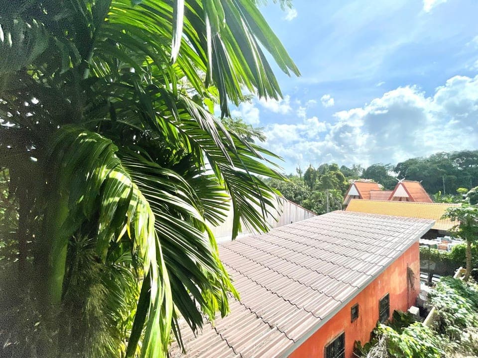 Natural landscape, Garden view