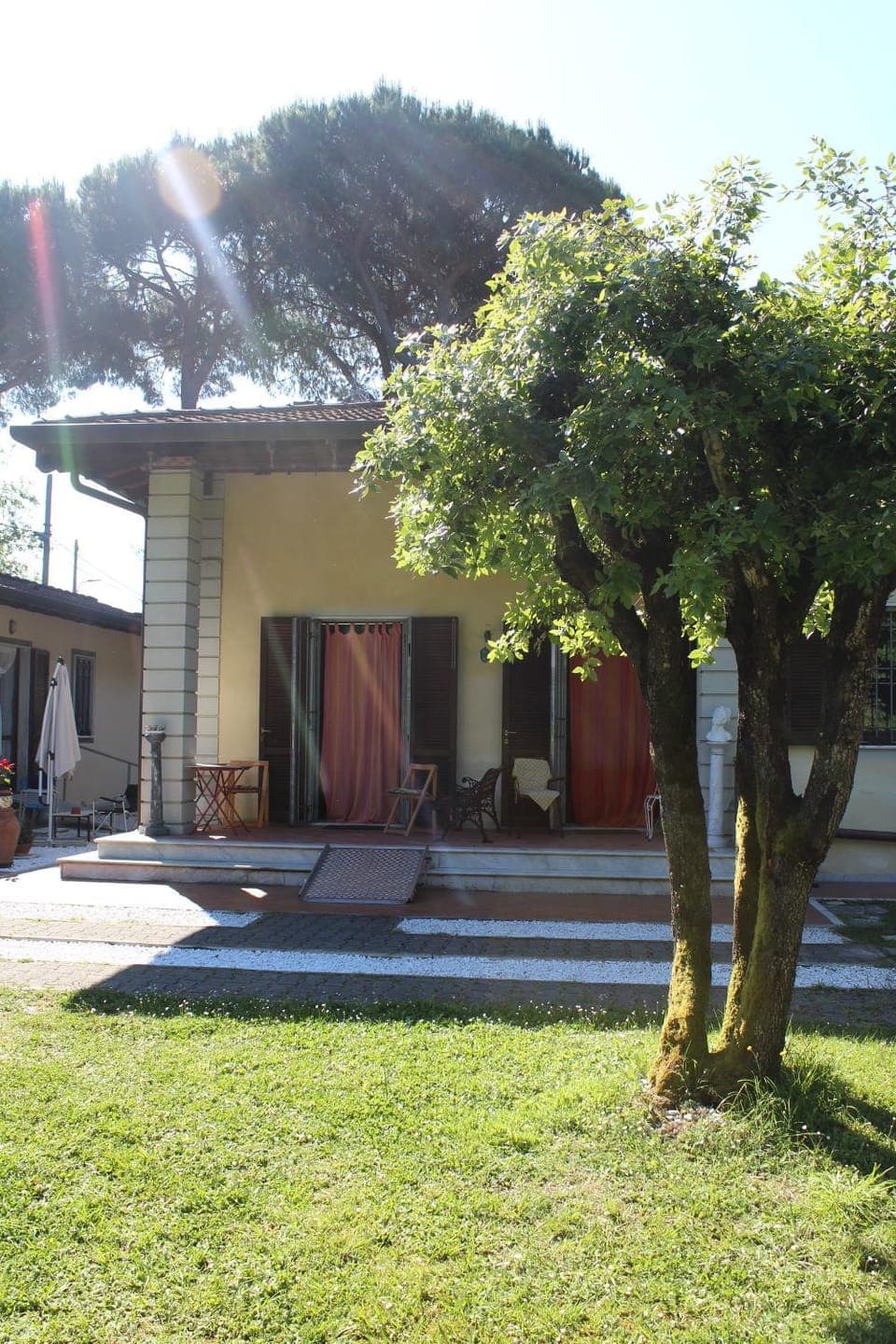 Day, Garden, Garden view