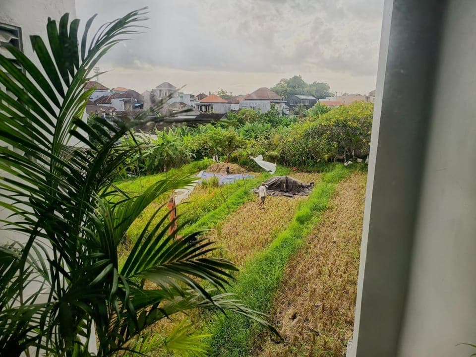 View (from property/room)