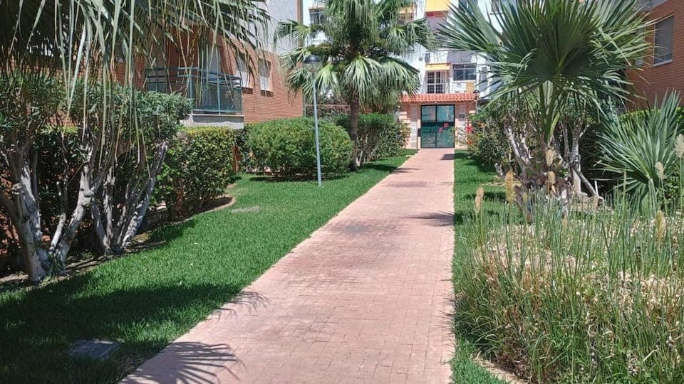 Day, Natural landscape, Garden, Garden view