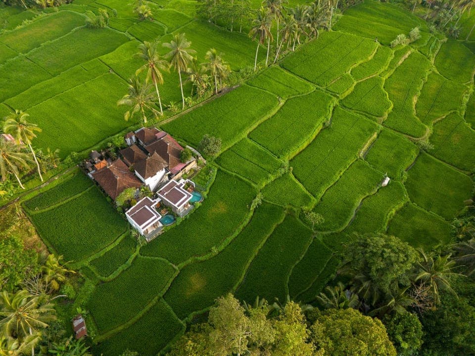 Day, Natural landscape, Bird's eye view, Garden, Garden view