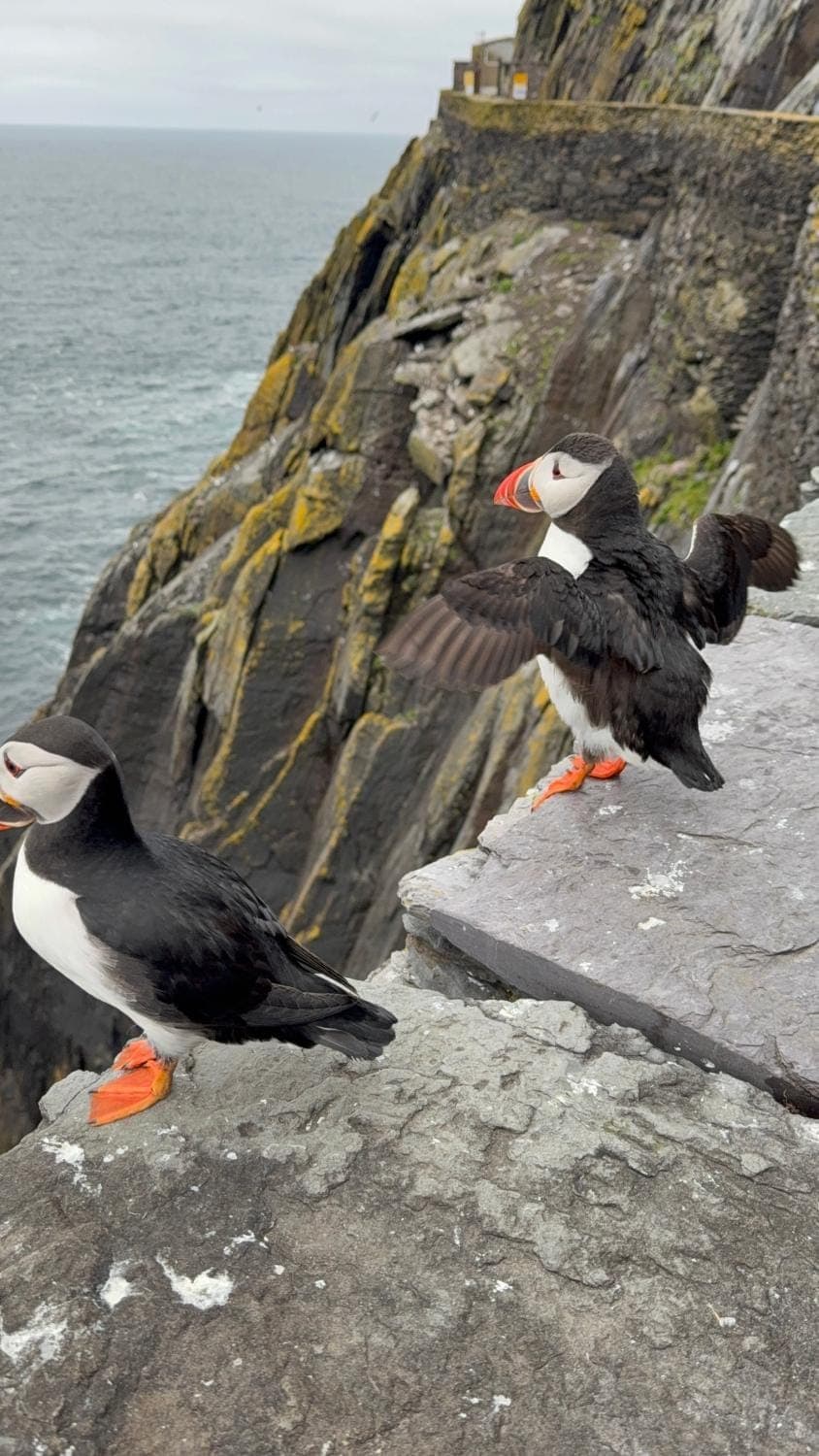 Private Room in Skellig Apartment Vacation rental in County Kerry