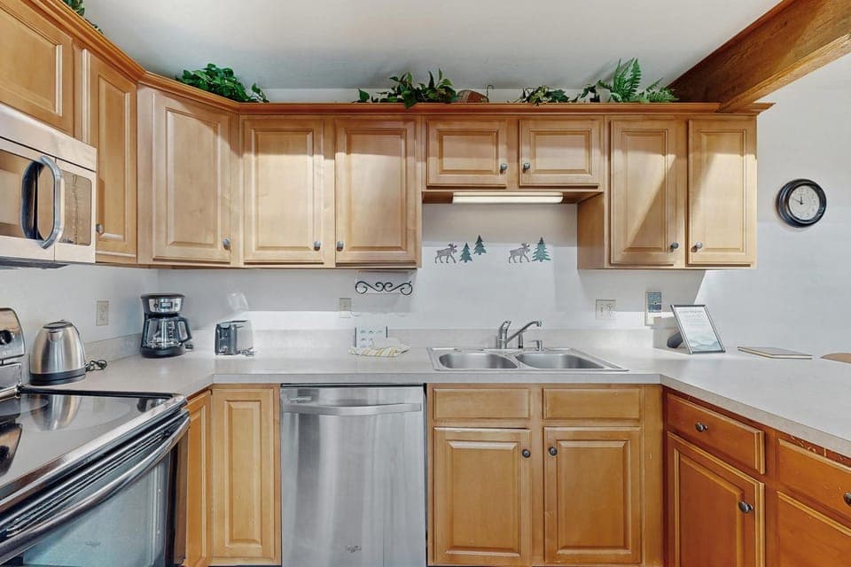 Buffalo Ridge 305E Apartment in Wildernest