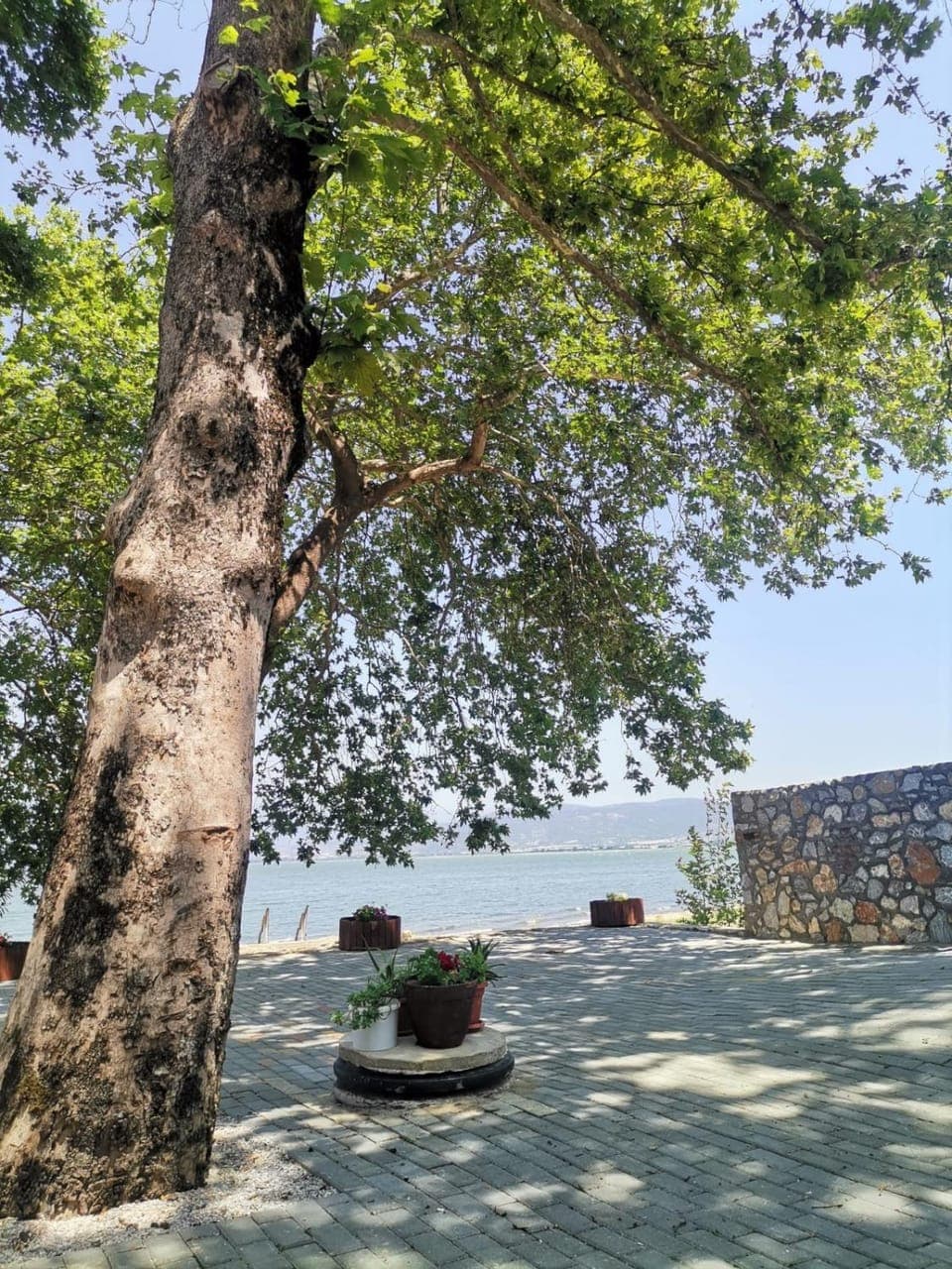 Patio, Natural landscape, Garden view, Lake view, Lake view