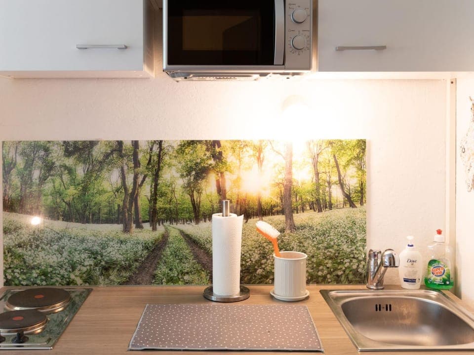 Kitchen or kitchenette