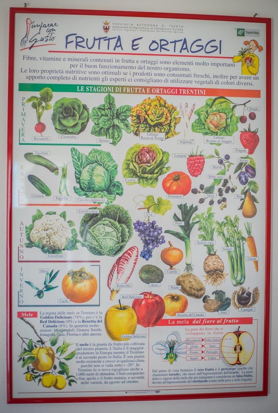 Text overlay, Certificate/Award