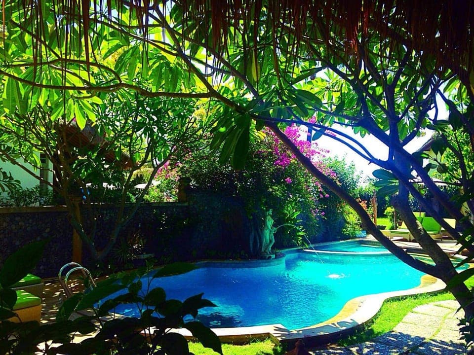 Pool view, Swimming pool