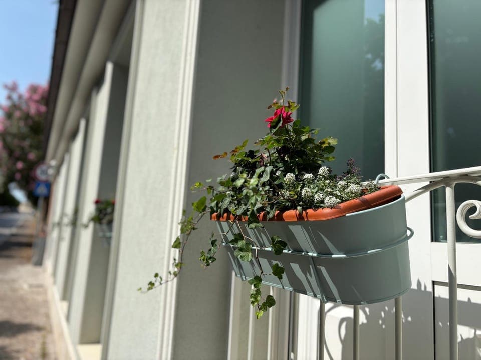 Property building, Day