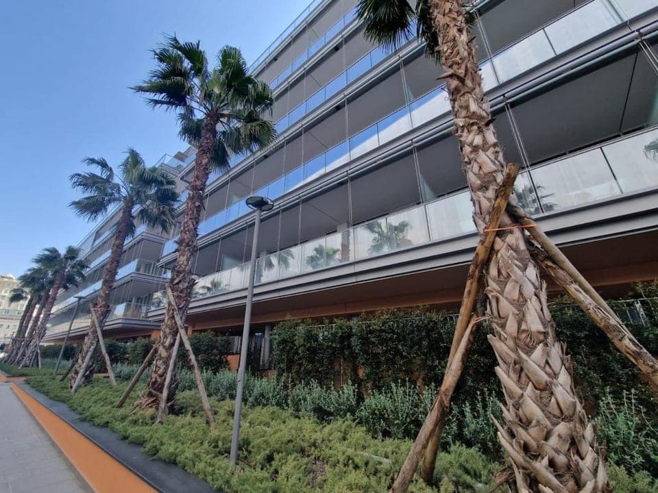 Property building, Garden view