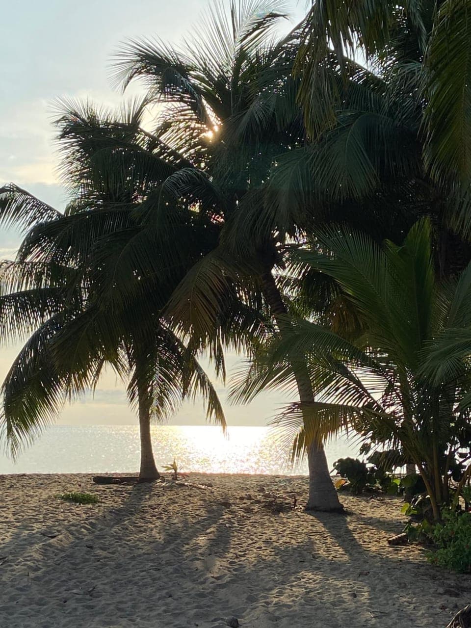 Day, Natural landscape, View (from property/room), Beach, Sea view