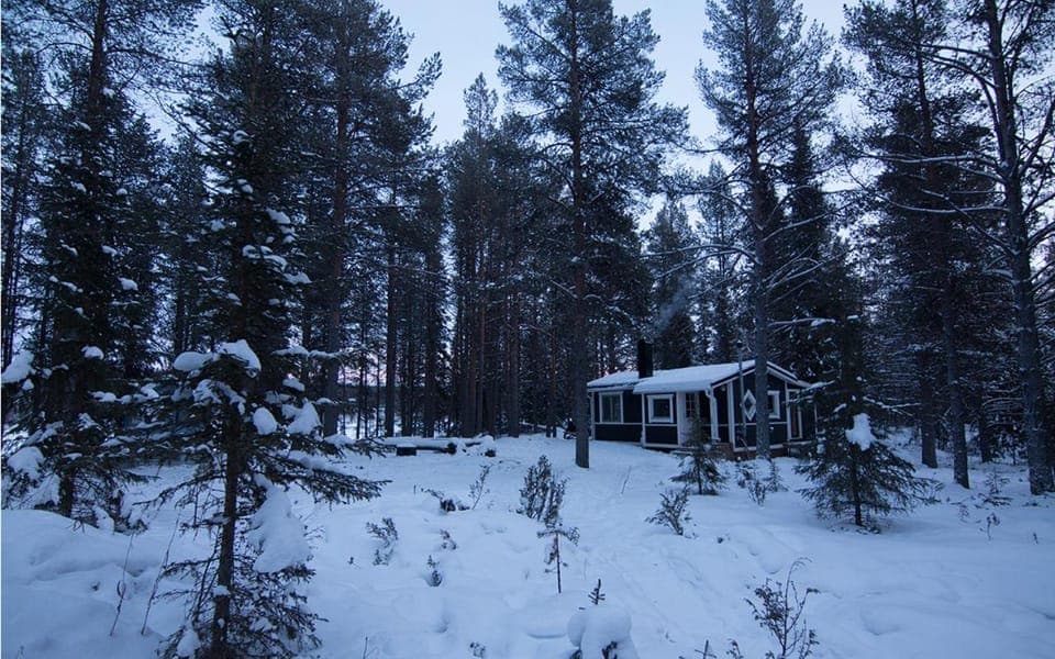 Winter