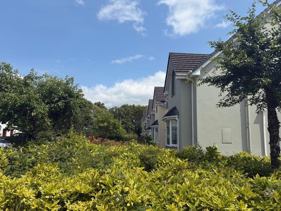 Property building, Day, Garden view