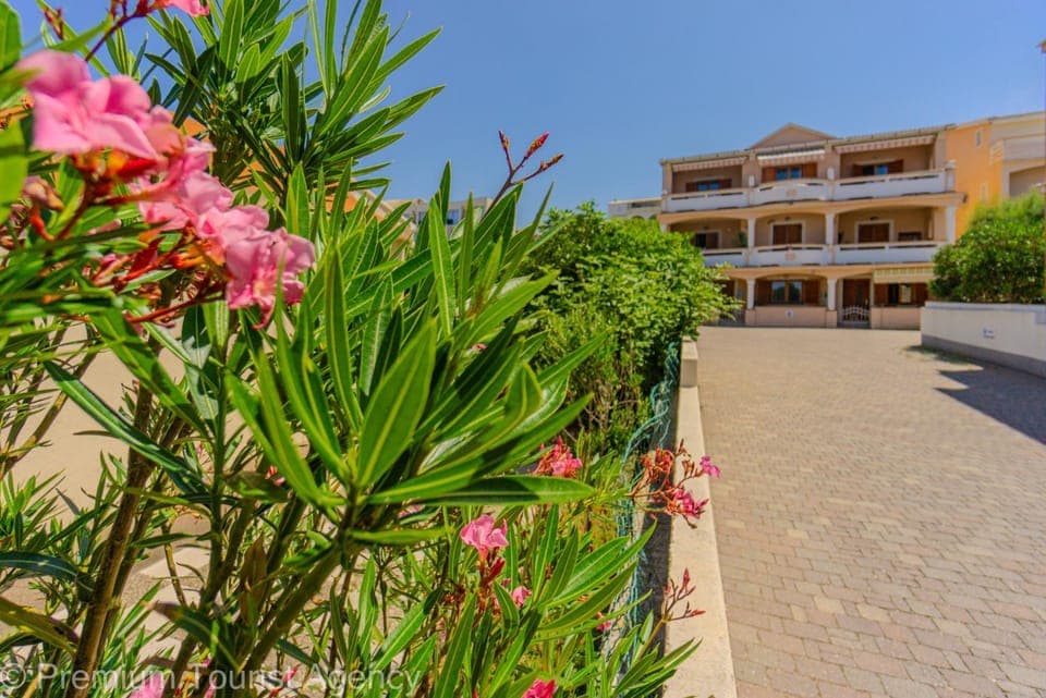 Property building, Garden
