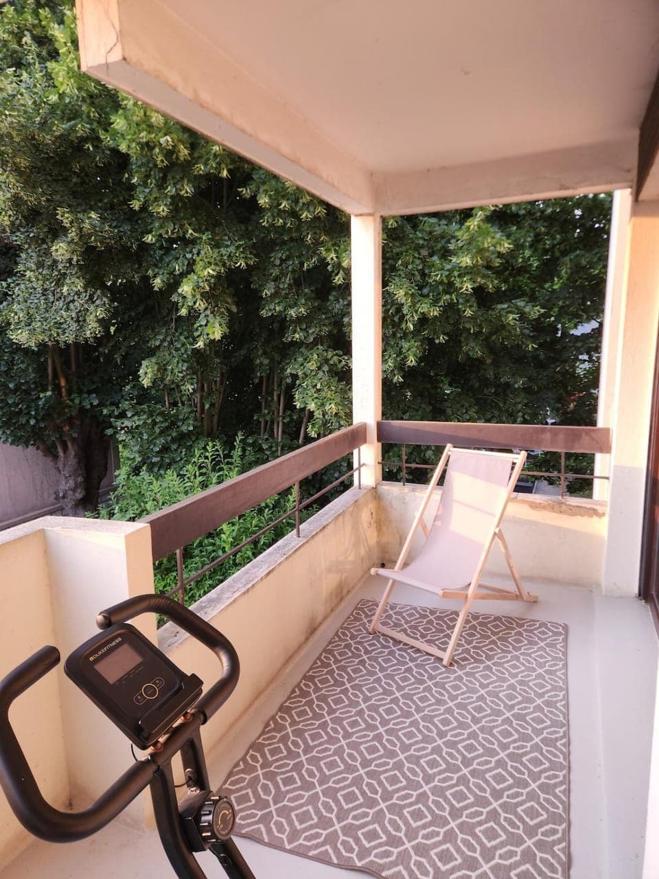 Patio, Balcony/Terrace, Garden view, sunbed