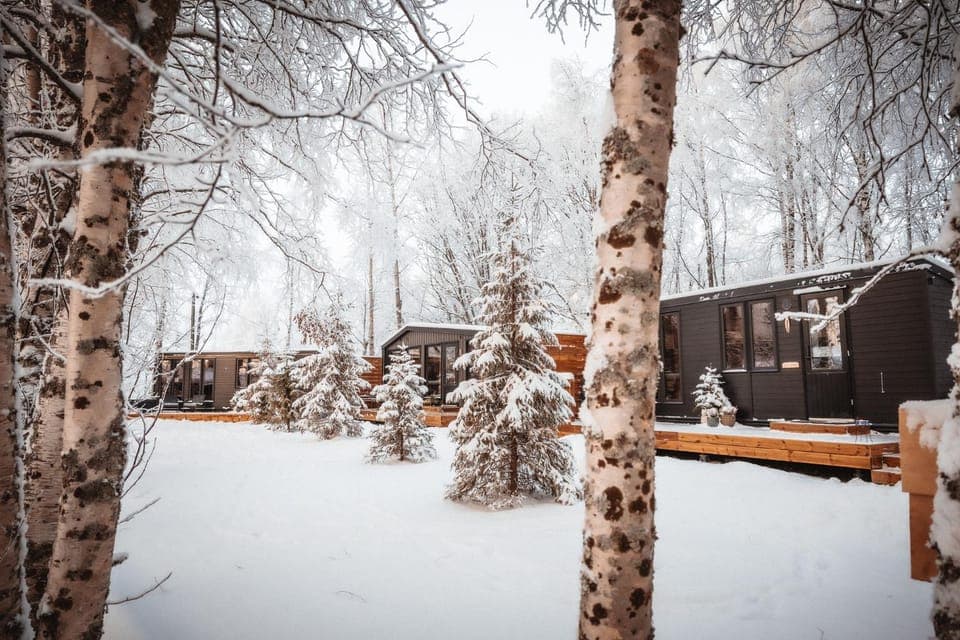 Day, Natural landscape, Winter