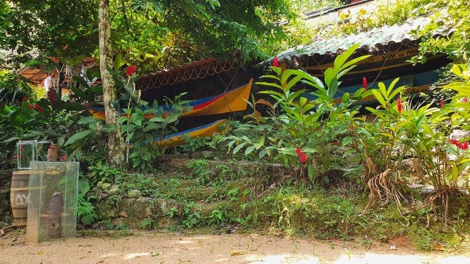 1500 metros quadrados na beira da praia House in Angra dos Reis