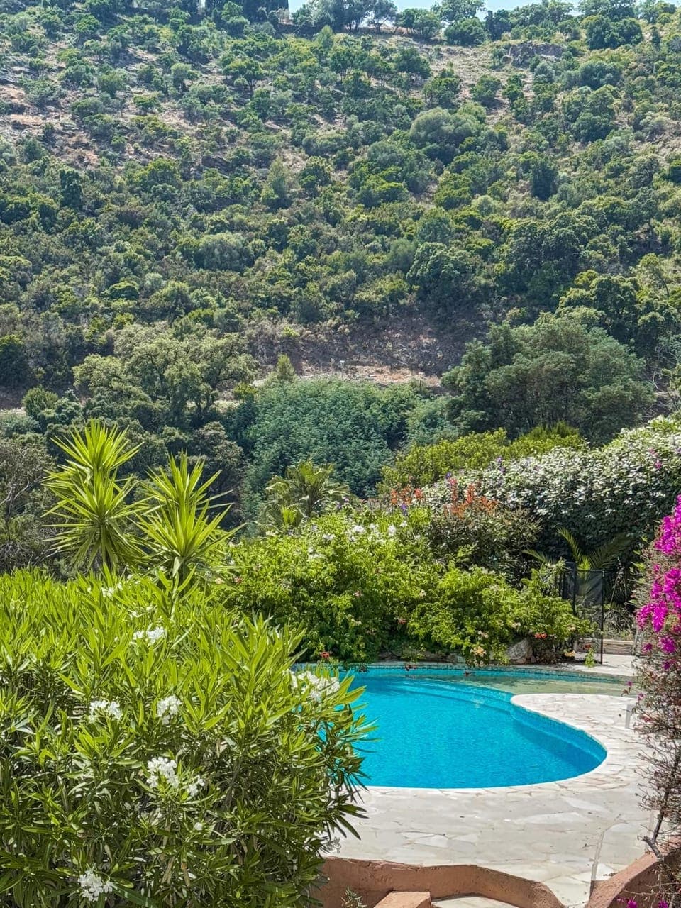 Natural landscape, Mountain view, Pool view, Swimming pool