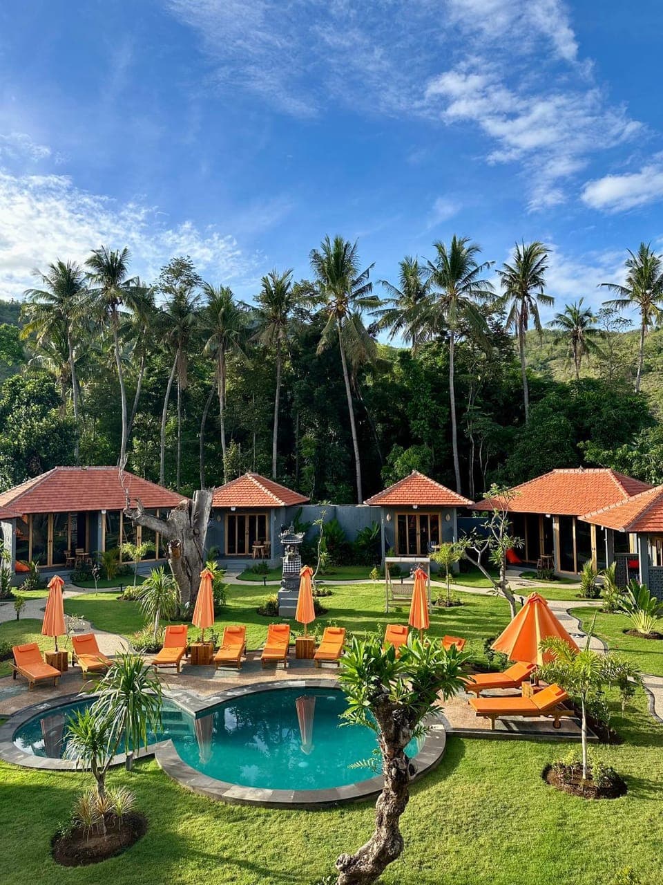 Garden, Pool view, Swimming pool
