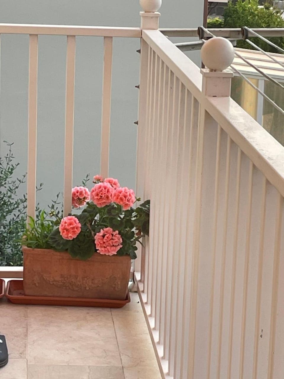 Balcony/Terrace, Kitchen or kitchenette