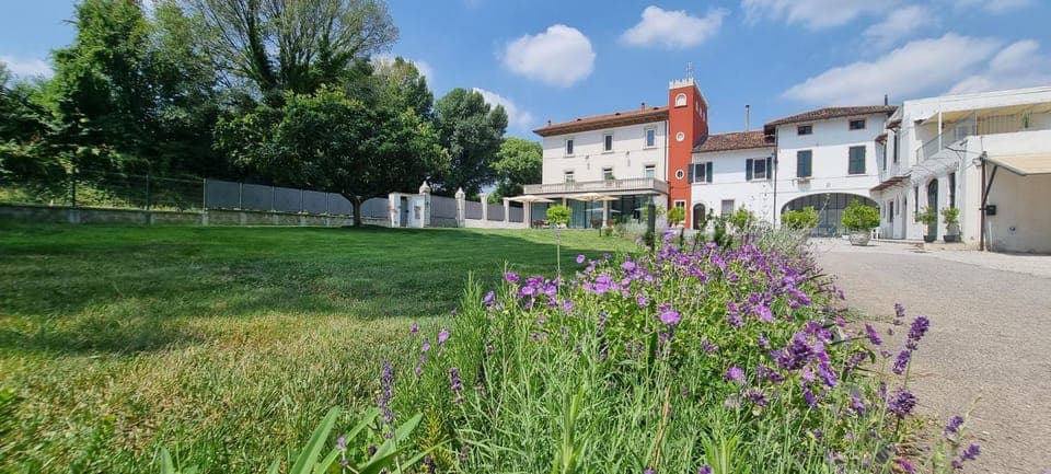 Property building, Garden view