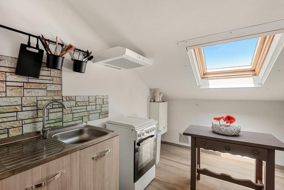 Kitchen or kitchenette, minibar, oven, pet friendly, stove