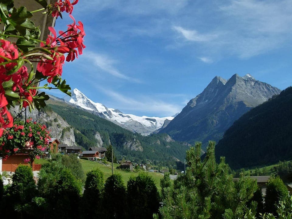 View (from property/room)