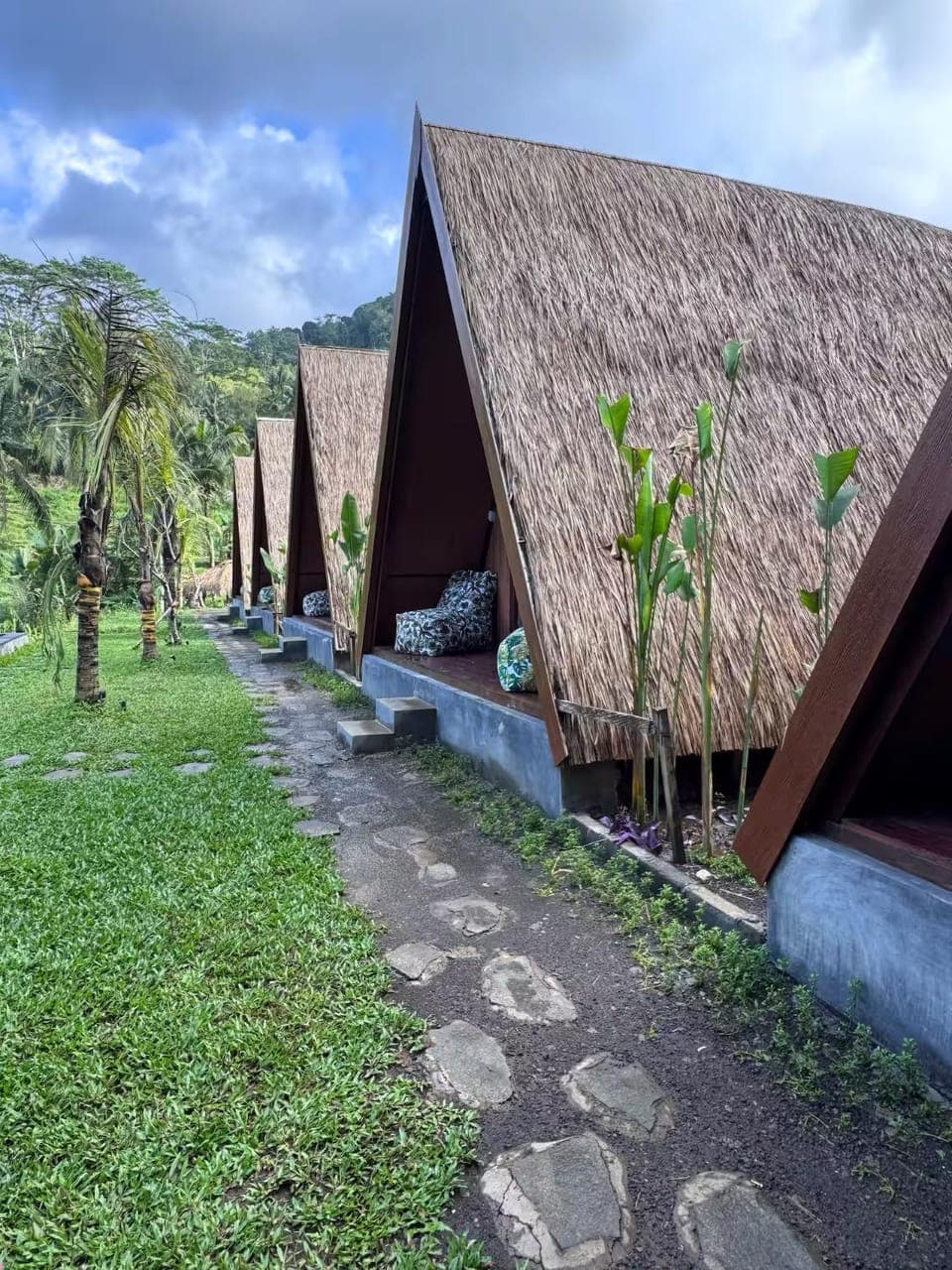 Property building, Garden, Garden, Garden view