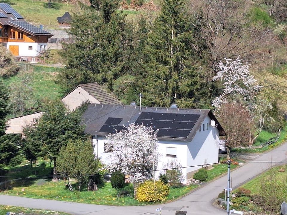 Property building, Spring, Bird's eye view, Garden view