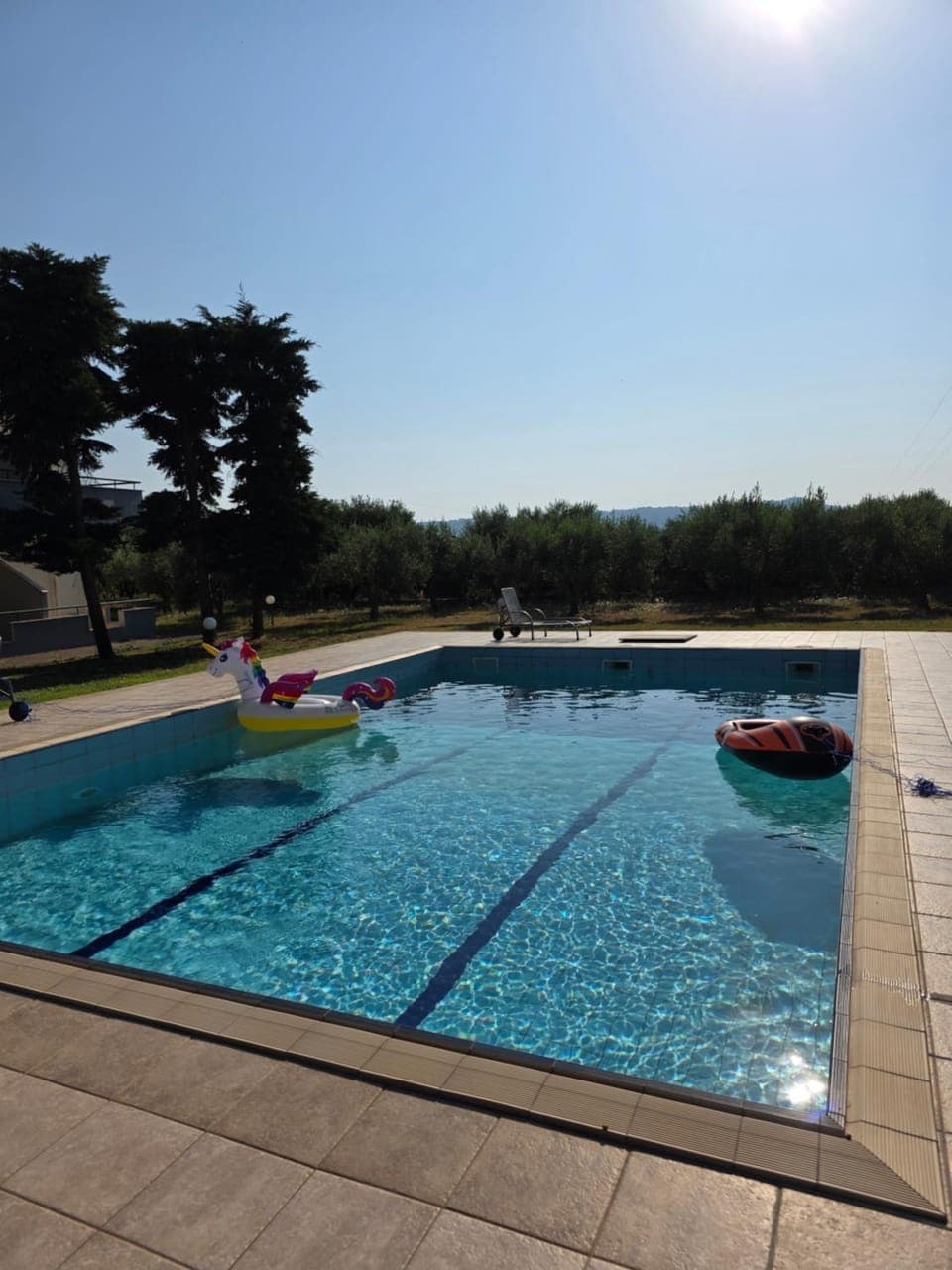 Pool view, Swimming pool, sunbed