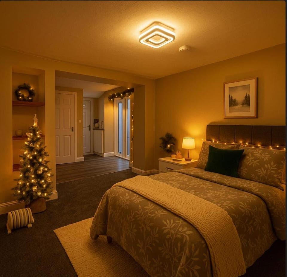 Bed, Photo of the whole room, Bedroom