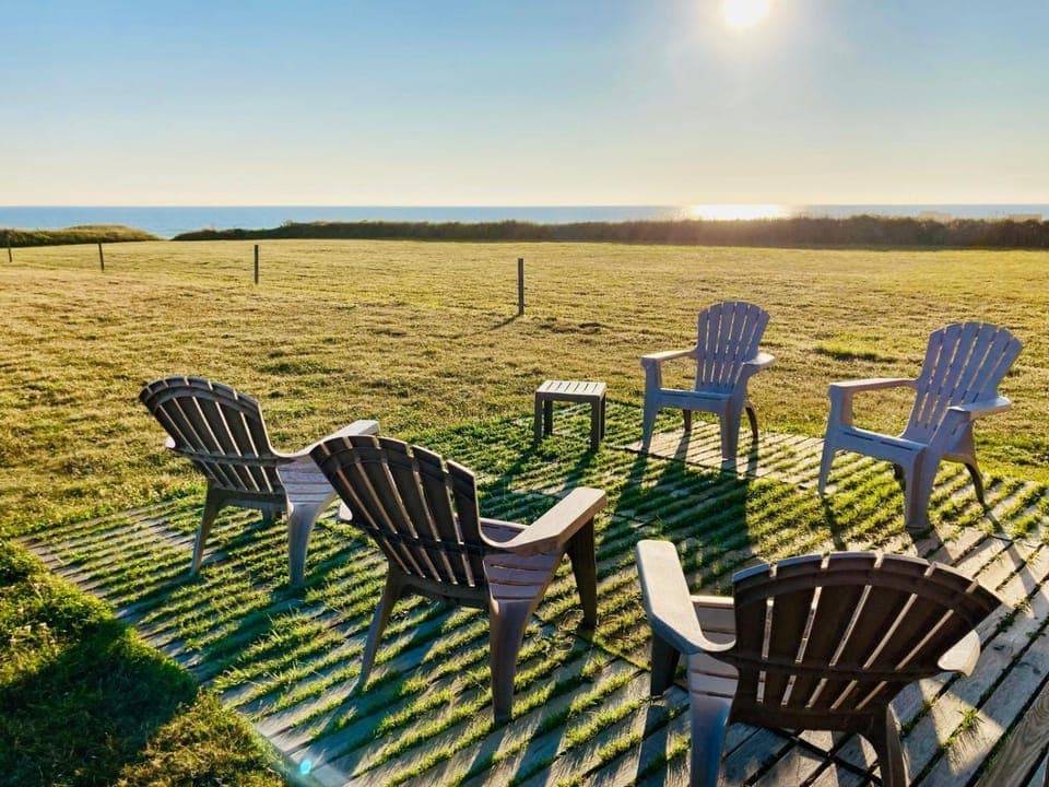 Patio, Garden, Garden view