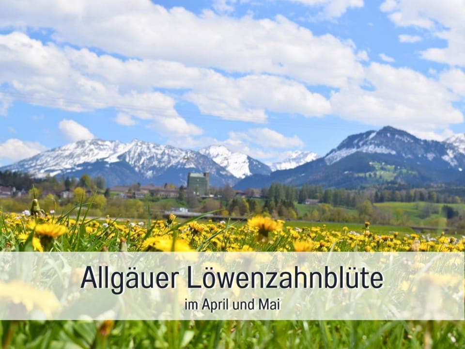 Spring, View (from property/room)