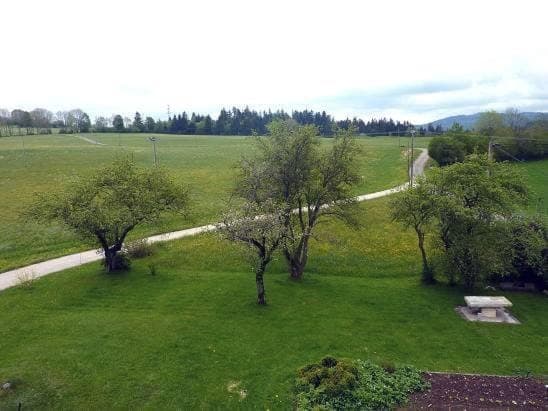 Spring, Natural landscape