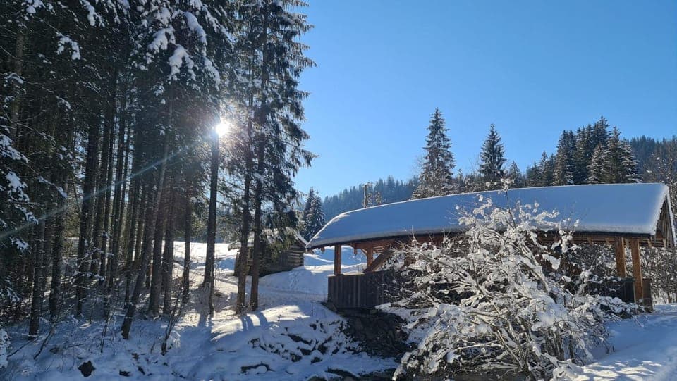 Natural landscape, Winter