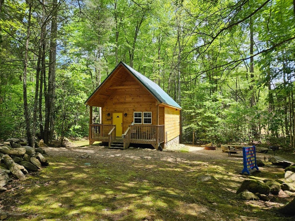 Smoky Mountain Retreat - 2 Cabins Cabin in Cosby