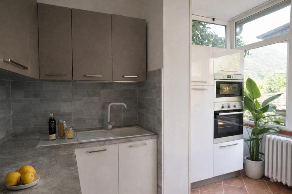 Kitchen or kitchenette, oven, stove