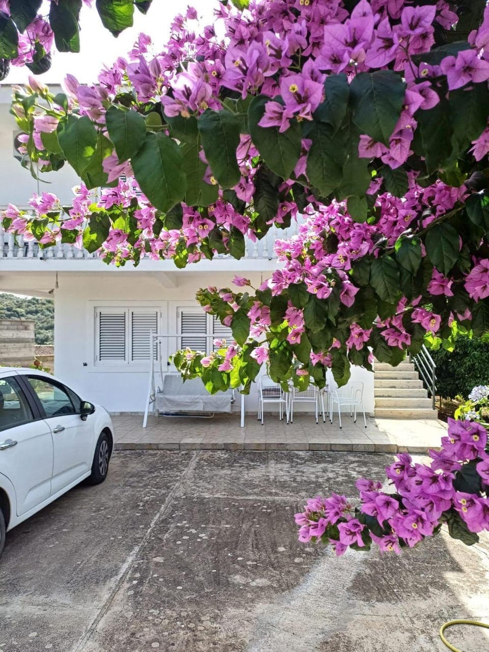 Property building, Street view