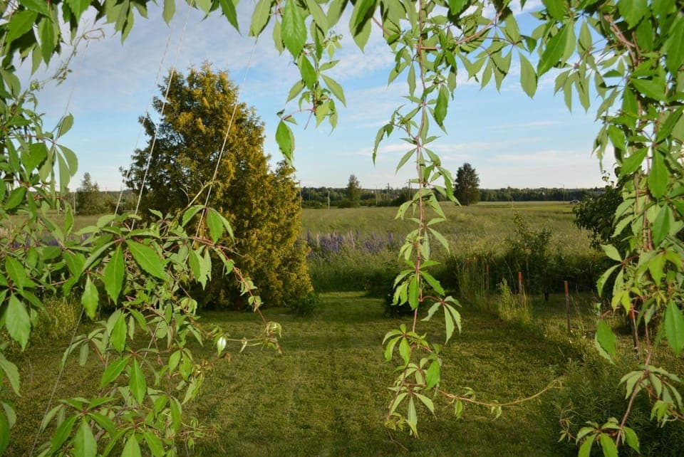 Day, Natural landscape, Garden, Garden view