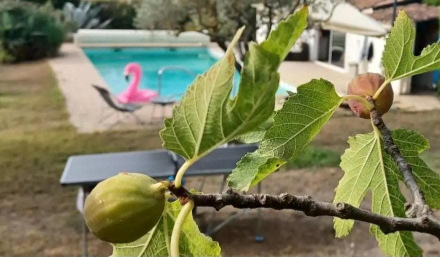Garden, Garden view, Mountain view, Pool view, Swimming pool, Swimming pool