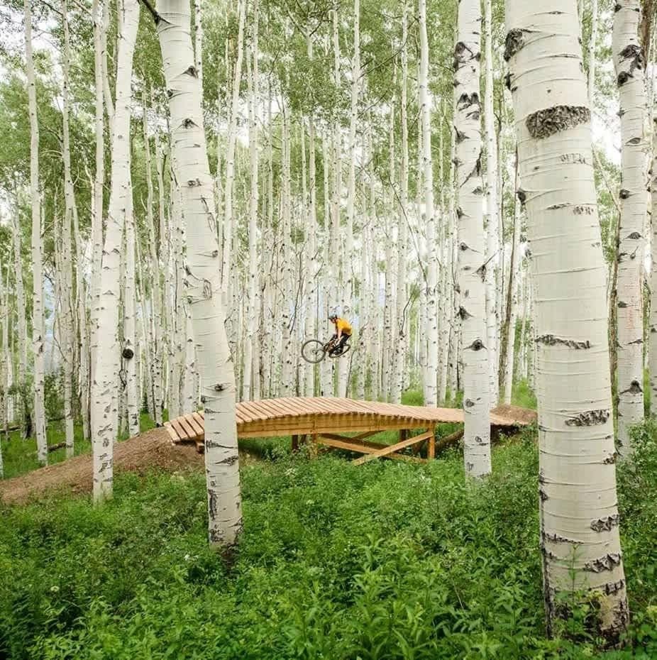 Ski-in Ski-out Interlude 3BR Penthouse Hot Tub House in Snowmass Village