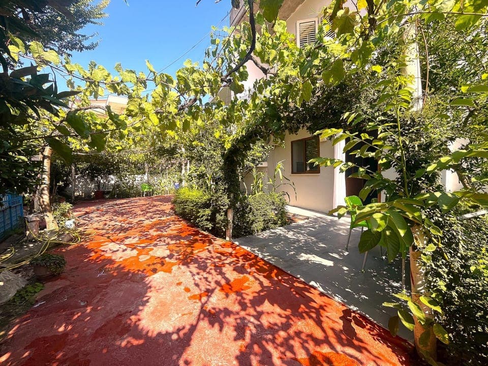 Property building, Patio, Day, Garden, Garden view