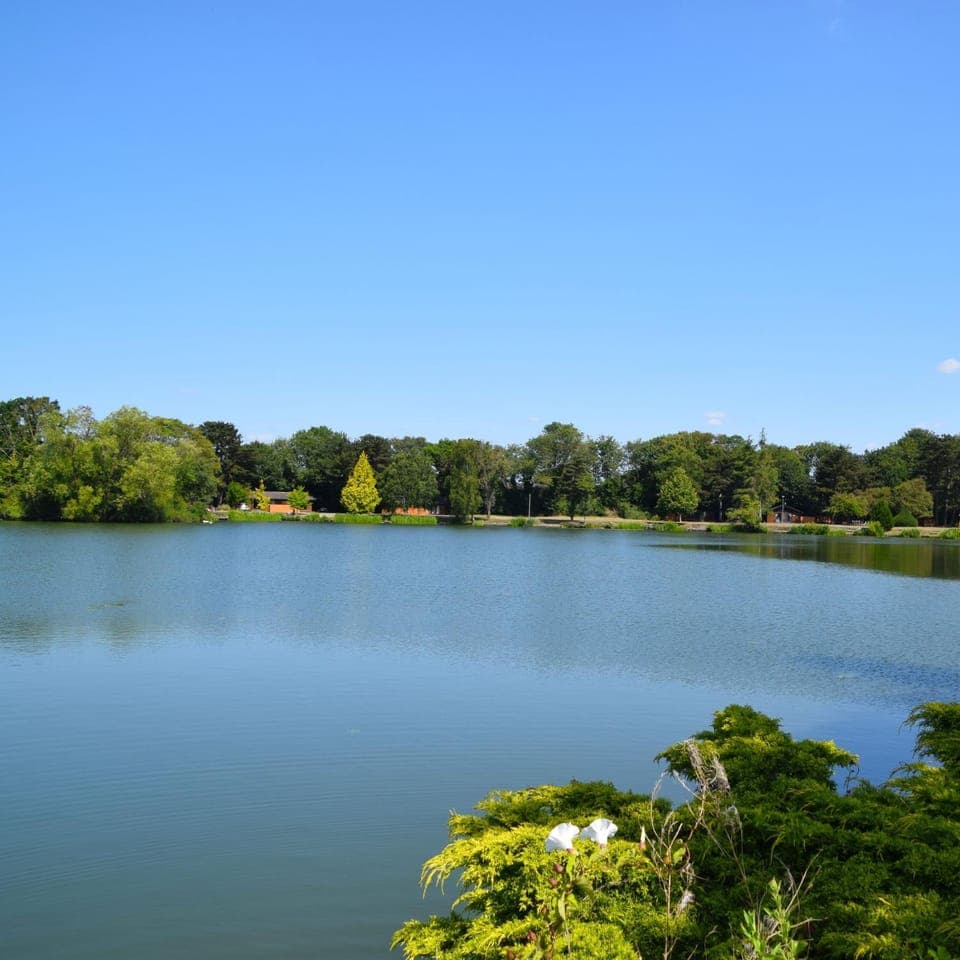 Property building, Lake view
