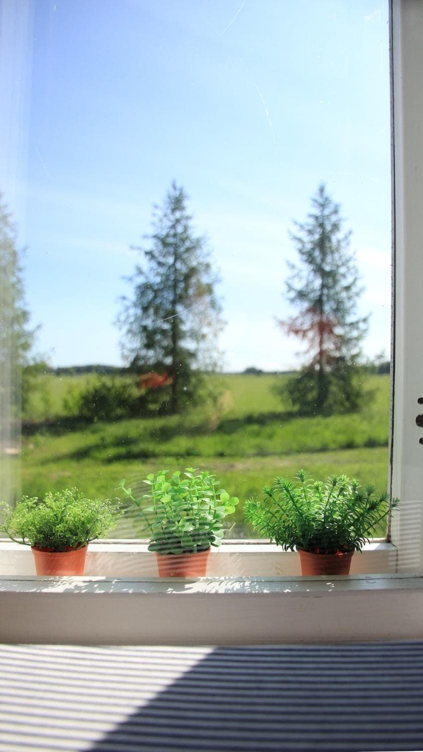 Garden Room at Ruutin Kartano Apartment in Finland