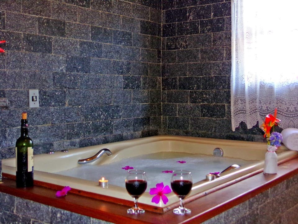 Pousada Canário Da Terra Inn in Visconde de Mauá