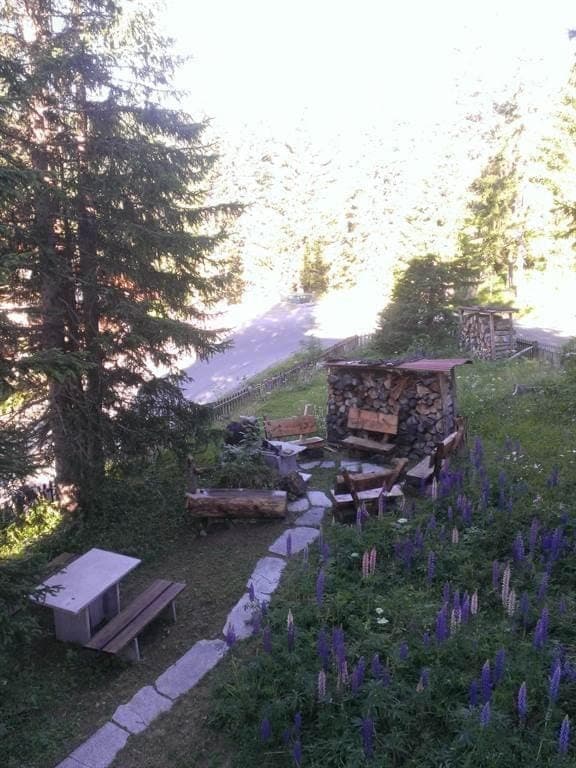 Gollrad 1 Apartment in Arosa